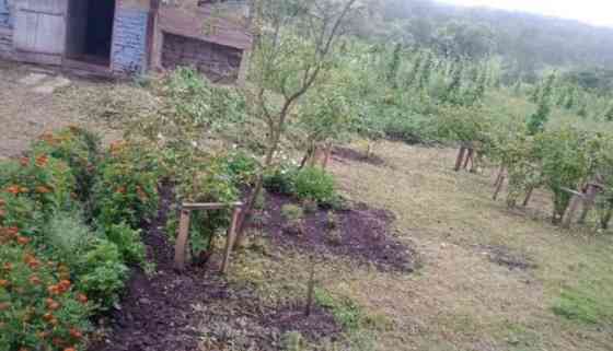 Продаж Будинок 2-кімнатний Бобрка