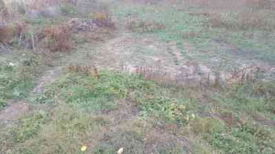 Продаж земельної ділянки 0.5 соток на ул. Лиманная, 14 Андрієво-Іванове