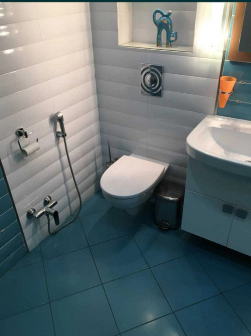 Оренда Квартира 1-кімнатна, 7/25 поверх на Білоруська, 6 Kiev - photo 20