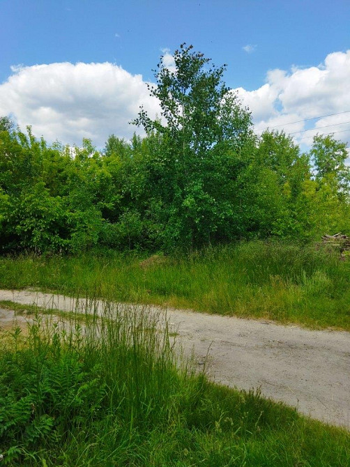 Продаж земельної ділянки 25 соток на Дениші Житомир - фото 1