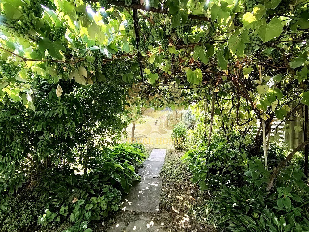 Продаж Будинок 3-кімнатний на Тракторная ул., 51 Vasylkiv - photo 7