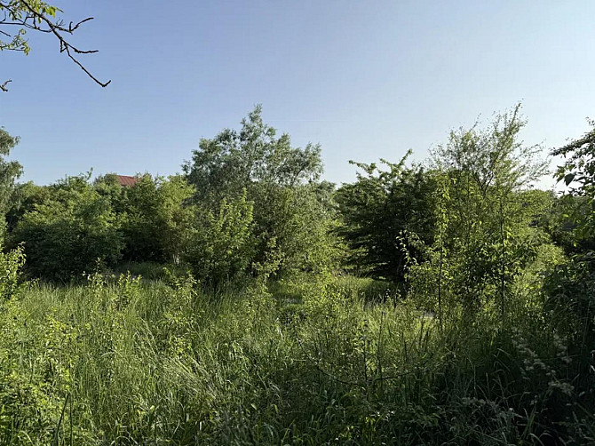 Продаж земельної ділянки — Яремчука Наварія - фото 9
