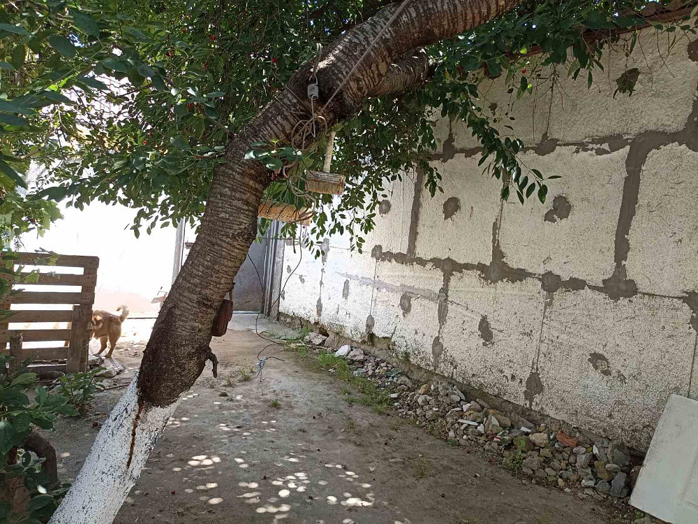 Продаётся часть домовладения на Большевике Одеса - фото 6