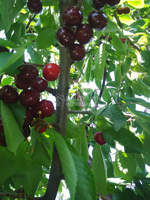 Продаж Будинок 2-кімнатний на вул. Верхня Гиївська Харків - фото 18