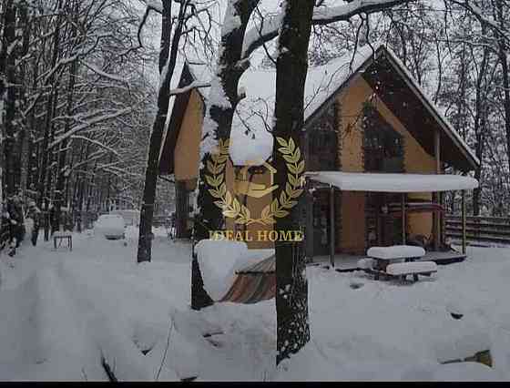 Продається будинок у Василькові Vasylkiv