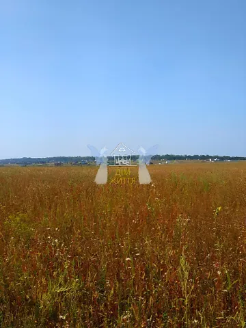 Продаж земельної ділянки  площа 240 сот вул. Бережанська 1 Підгородне - фото 5