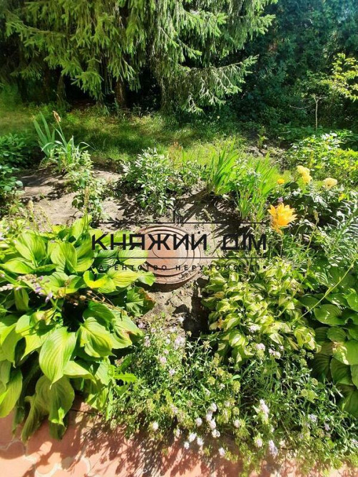 Шикарный большой дом с бассейном с.Малая Александровка.Код:229476  - фото 20