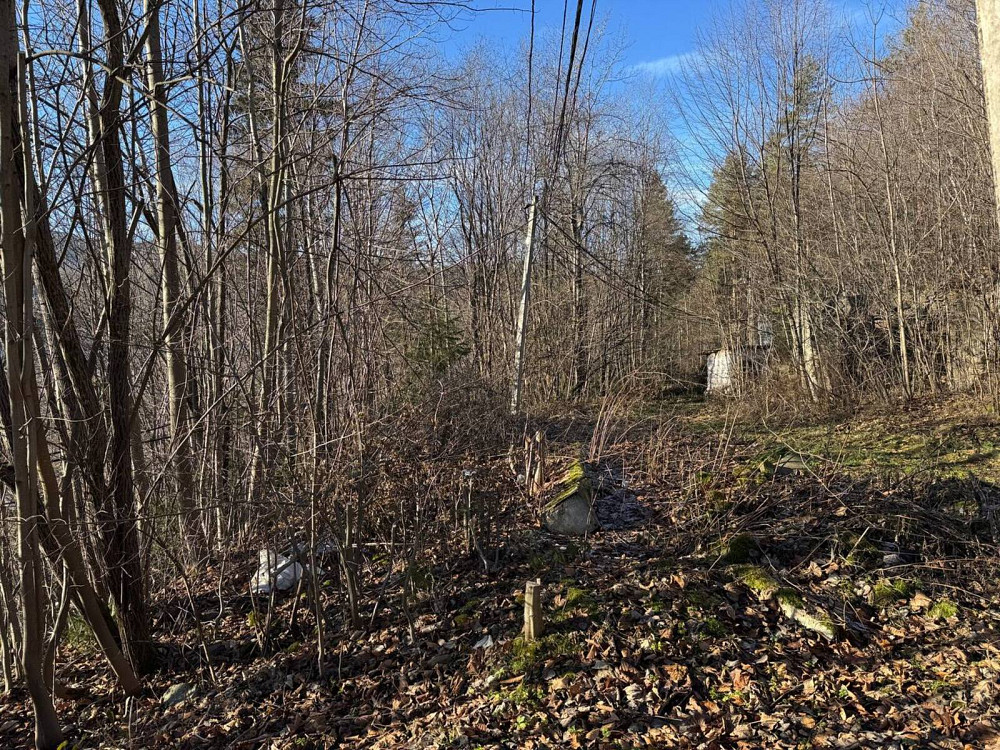 Продаж земельної ділянки 24 соток на Свободі Yaremche - photo 8