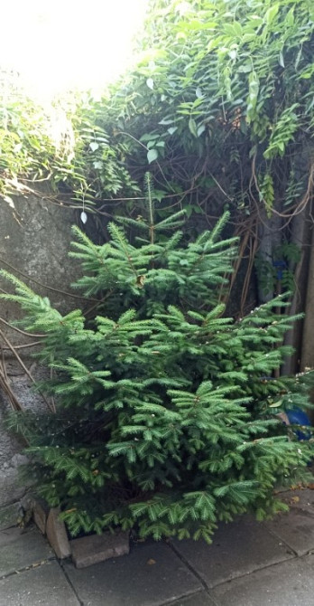 Продам 3х комнатную квартиру в новом доме по ул.Б.Хмельницкого Odessa - photo 12