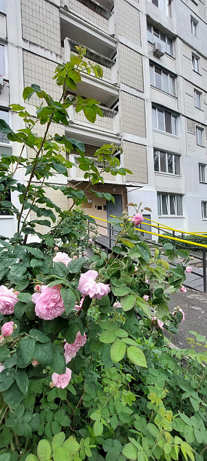 Оренда Квартира 1-кімнатна, 14/16 поверх на Тростянецька, 5 Б Киев - изображение 10