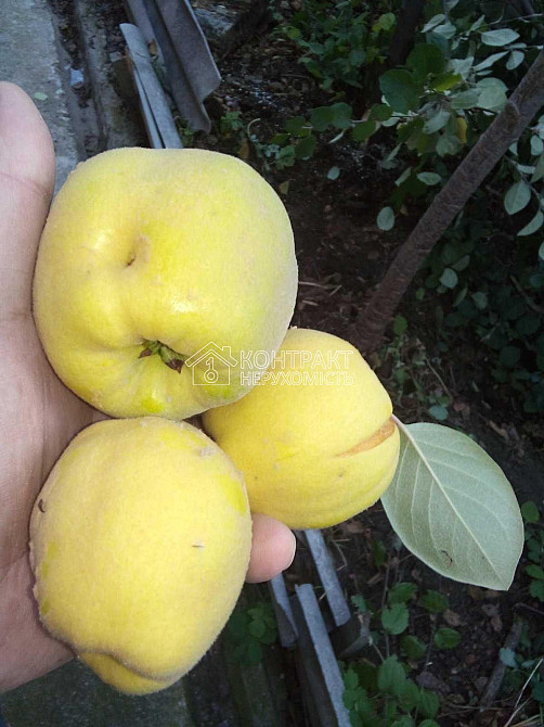 Продаж Будинок 2-кімнатний на вул. Верхня Гиївська Kharkiv - photo 15