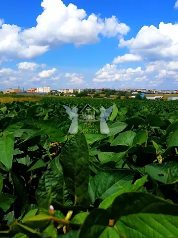 For sale land plot  area 63 ares Галицька бічна вулиця 1  - photo 6