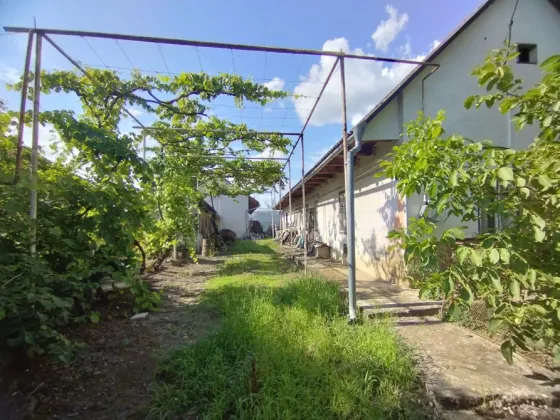 Здається Склад / ангар площа 250 кв.м Ужгород Борканюка Ужгород