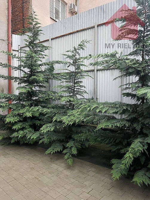 Оренда приміщення вільного призначення на Ференца Ракоці, 42 поверх - 1/3 Ужгород - фото 6