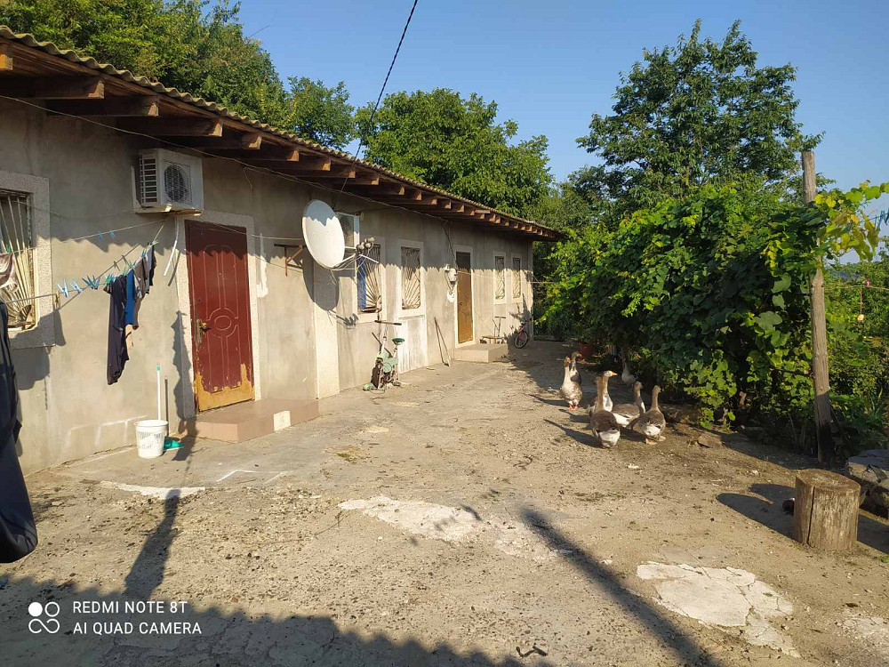 Предлагается к продаже частный дом с готовым бизнесом (действующим фермерским хозяйством) Нерубайське - фото 6