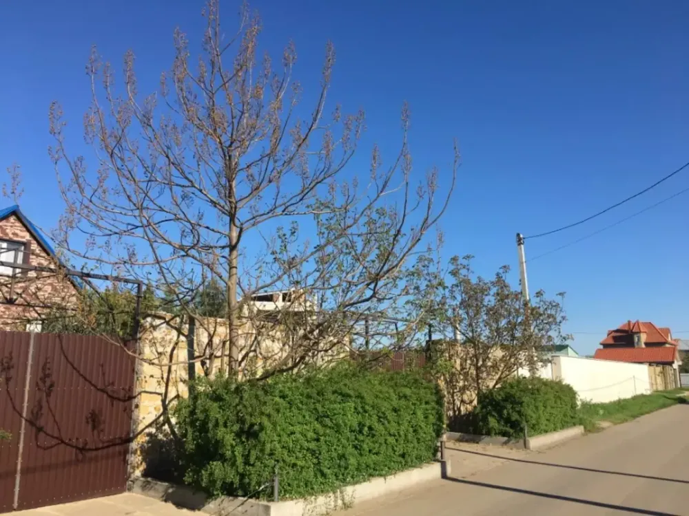 Продаж Будинок на вул. Перемоги Sanzhiika - photo 12