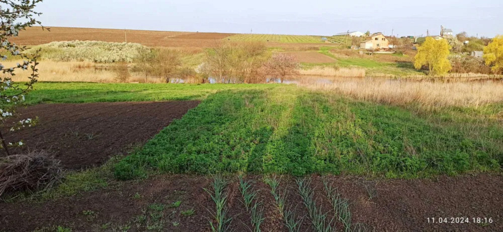 Продам будинок у с. Н.Павлівка. Кропивницький - фото 14