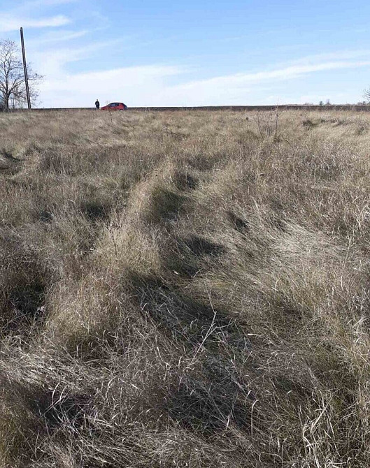 Продаж земельної ділянки 17 соток Липове - фото 2