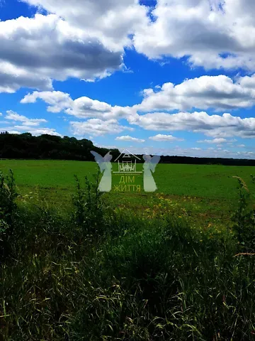 Продажа земельного участка  площадь 207 сот Зелена вулиця  - изображение 8