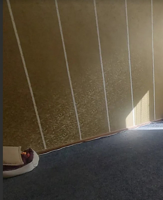 Продаж Квартира 2-кімнатна, 1/2 поверх на Пирогова, 86 Вінниця - фото 12