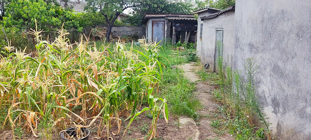 Продается не большой дом. с.Нерубайское. (НАТИ) Нерубайське - фото 8