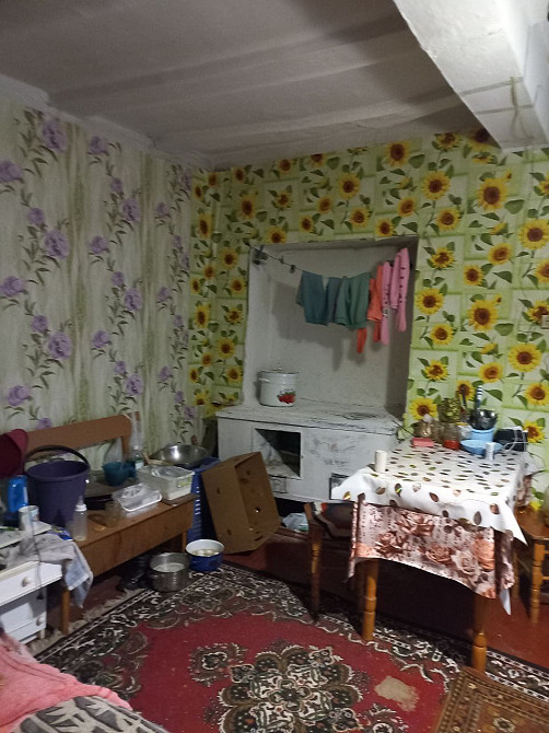 Продам дом в Троицком Новотроїцьке (Любашівський район) - фото 5