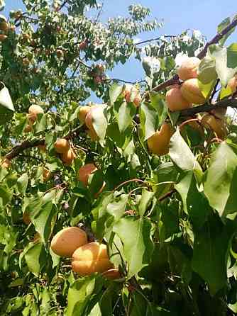 Продаж земельної ділянки 10 соток на АН Купи Дім Кропивницький