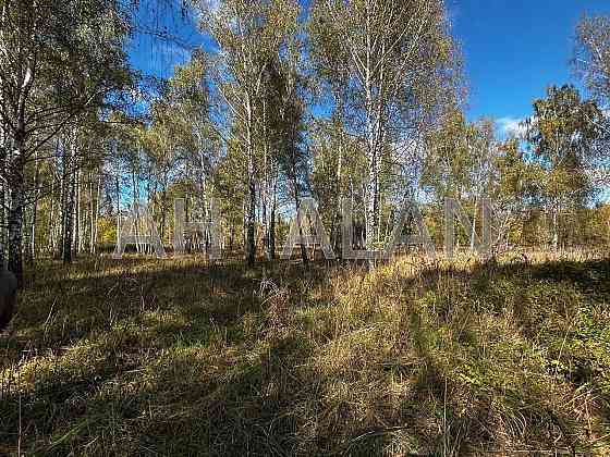 Продаж земельної ділянки 12 га на вул. Сонячна Zavalivka