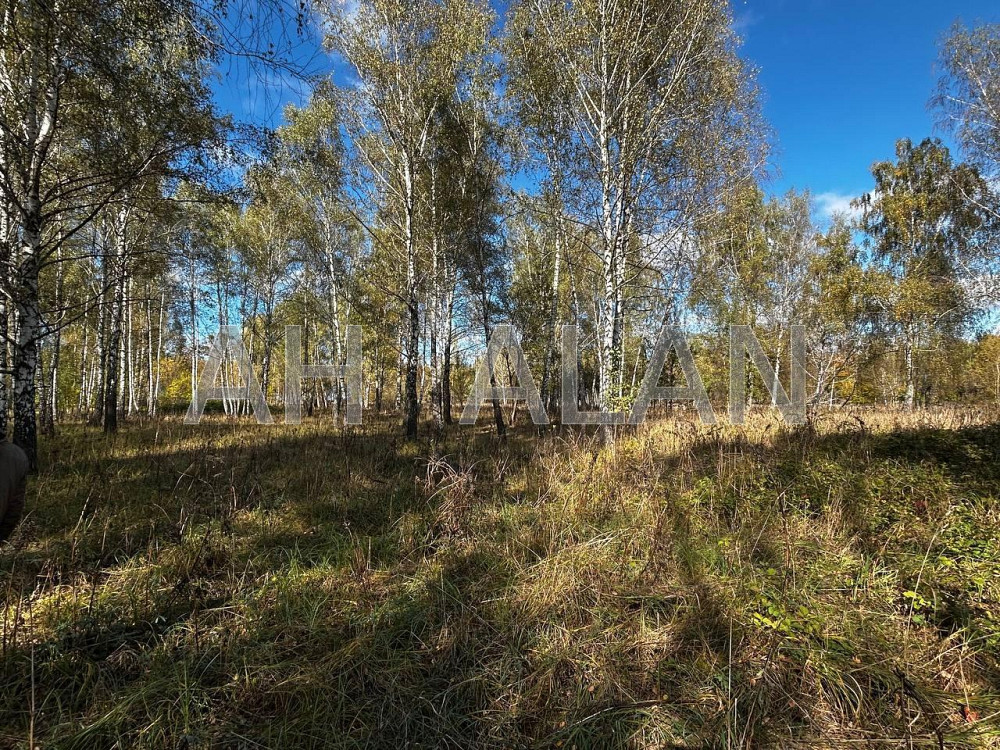 Продаж земельної ділянки 12 га на вул. Сонячна Завалівка - фото 6