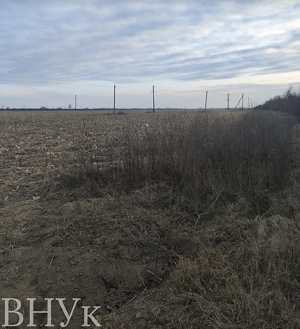 Продаж земельної ділянки 2.42 га на Свободи Uzhhorod - photo 2