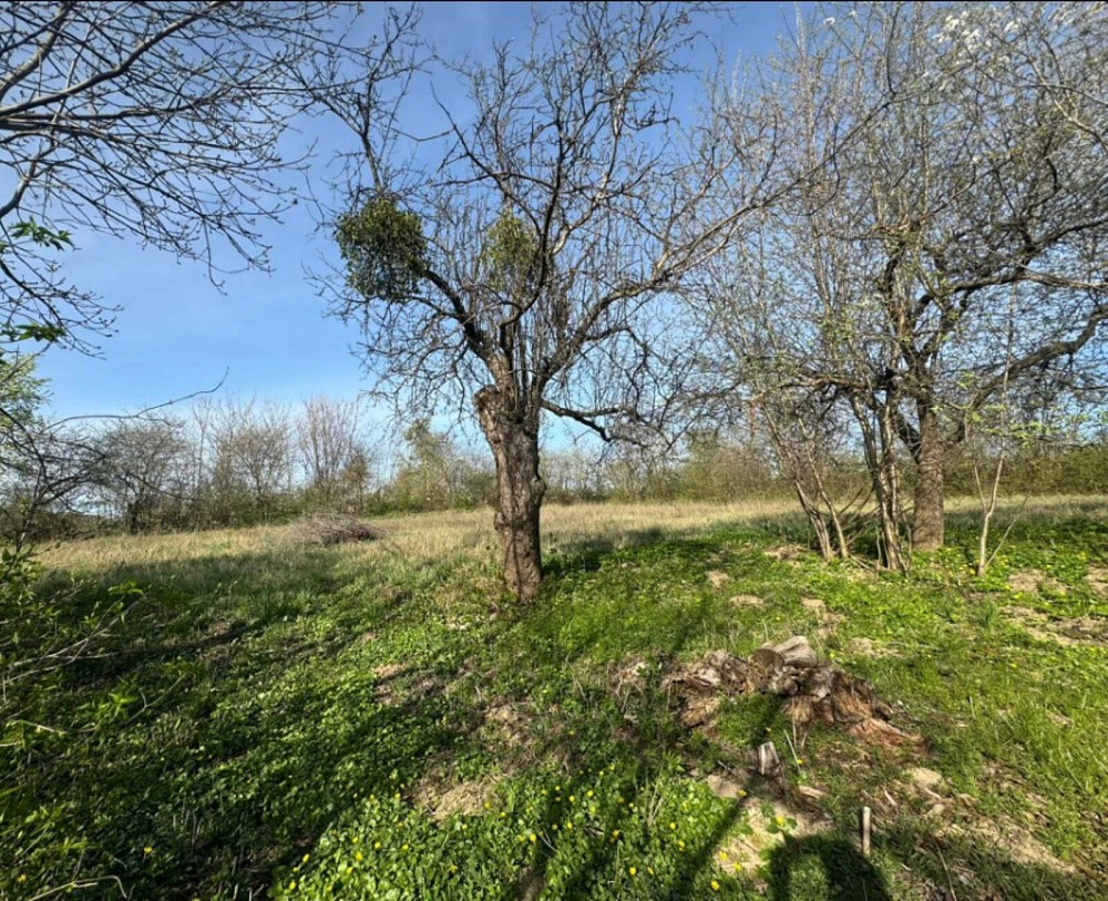 Продаж земельної ділянки 47 соток  - изображение 4