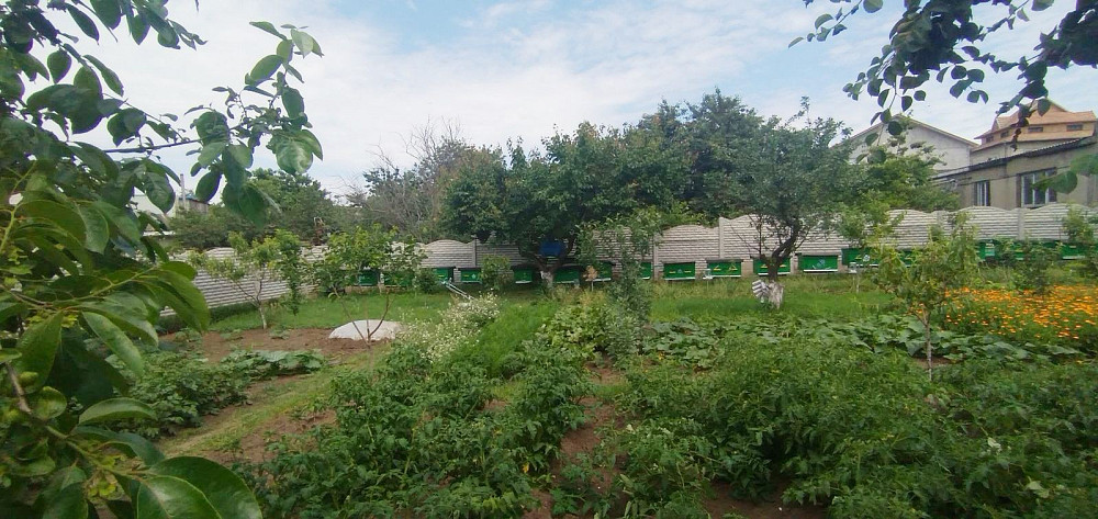 Капитальный дом на 10 сотках земли, Черноморка Одеса - фото 3