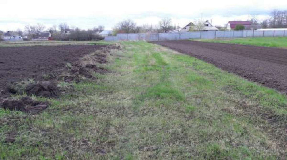 Продаж земельної ділянки 40 соток Городище (Іванківський район) - фото 3