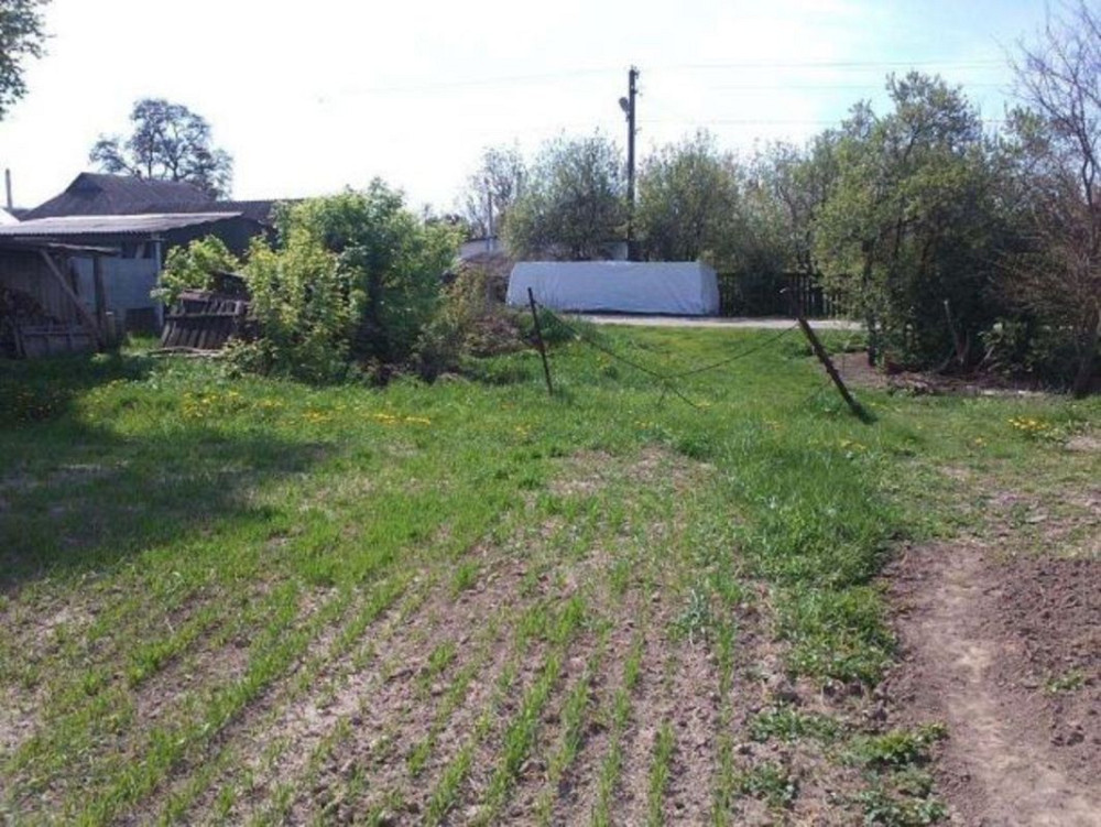 Продаж земельної ділянки 15 соток на Гагарина Сеньківка - фото 3