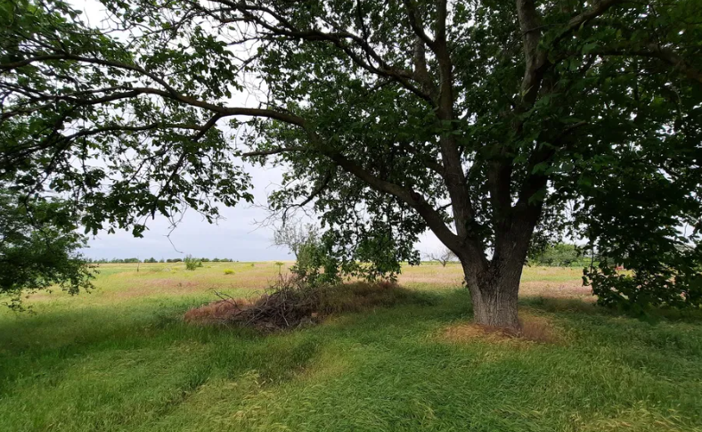 Продам дом в с.Красная Горка (Одесская обл., Беляевский р-н) Chervona Hirka - photo 15