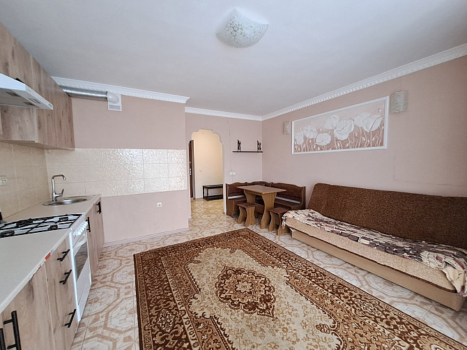 Оренда 1 км квартири у новобудові, вул.Петра Батьківського. Кутківці. Тернопіль Тернопіль - фото 10