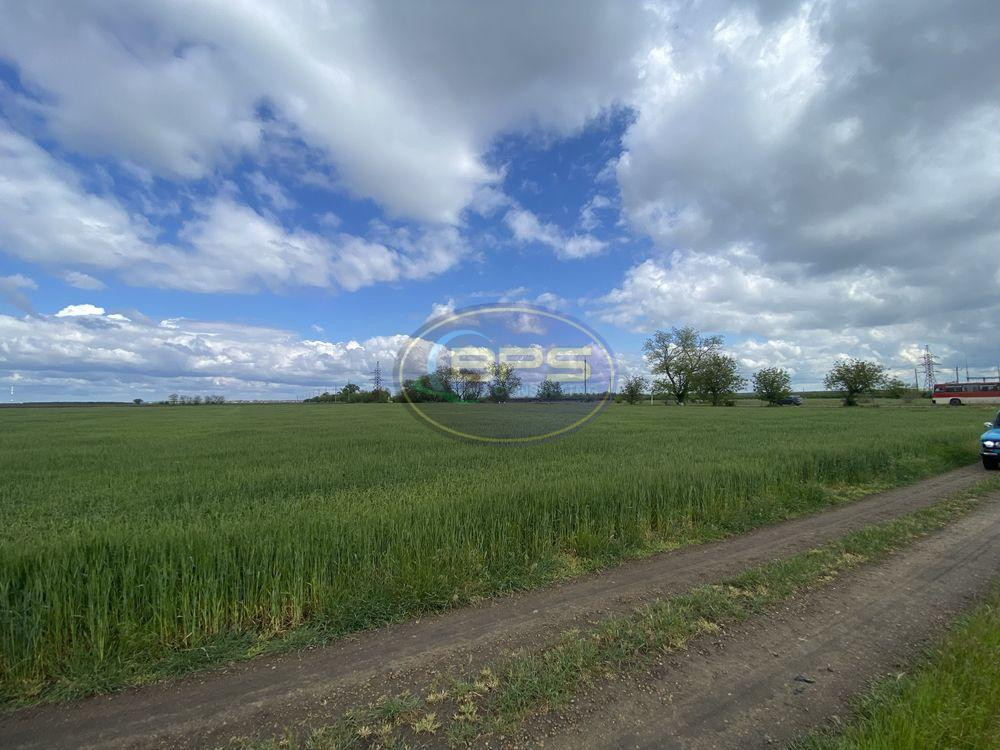 Продаж земельної ділянки 1.83 соток Новотроїцьке (Любашівський район) - фото 8