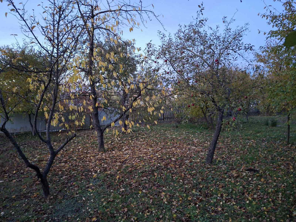 Продаж будинку у В.Березовиця Velikaya Berezovica - photo 11