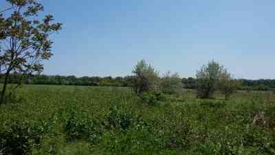 Продаж земельної ділянки 0.1 соток на ул. Янтарная, 1д Nerubaiske