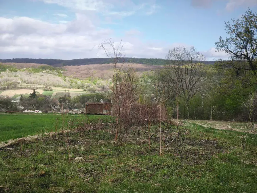 Продаж земельної ділянки Для будівництва приватного житлового будинку площа 20 сот Травнева Циганівці - фото 2