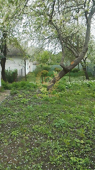 Продам будинок у Денихівці, 3 кімнати Денихівка - фото 11