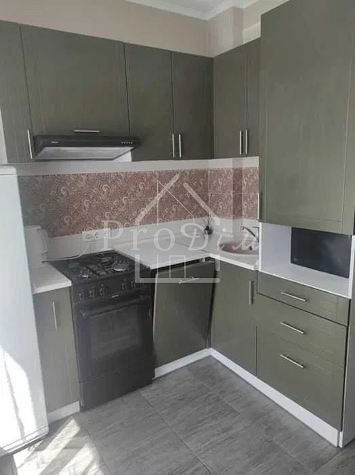 Оренда Квартира 1-кімнатна, 8/9 поверх на Європейського союзу, 10 Киев - изображение 5