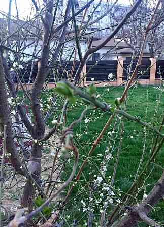 Продаж земельної ділянки 0.2 соток на ул. Шевченка, 12 Одеса