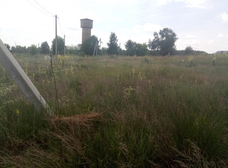 Продаж земельної ділянки 25 соток на улица Весенняя, д.  - изображение 5