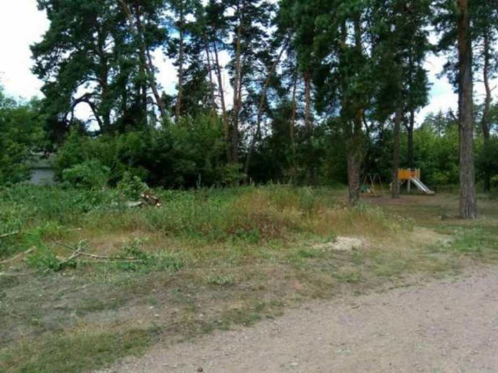 Продаж земельної ділянки 20 соток  - фото 2