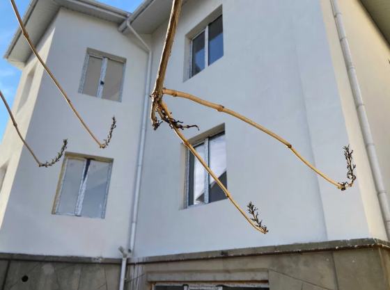 Просторный дом в Черноморке ( Одесса) Одеса