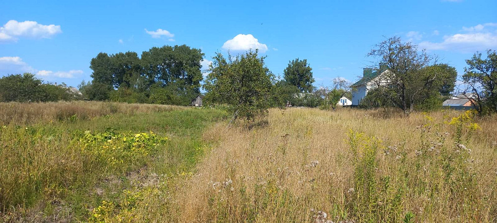 Продаж земельної ділянки 20 соток на Сонячне Zhytomyr - photo 2