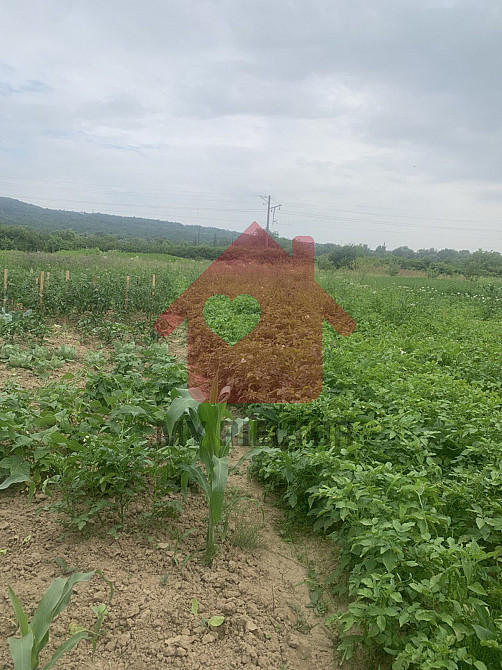 Продаж земельної ділянки 10 соток Uzhhorod - photo 1