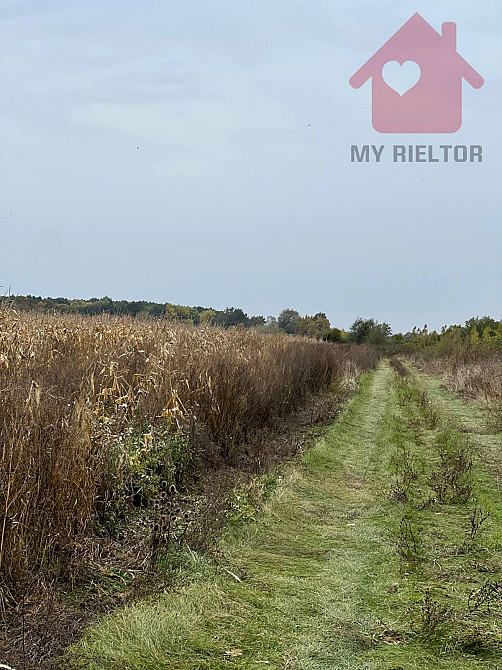 Продаж земельної ділянки 15 соток Tyihlash - photo 7