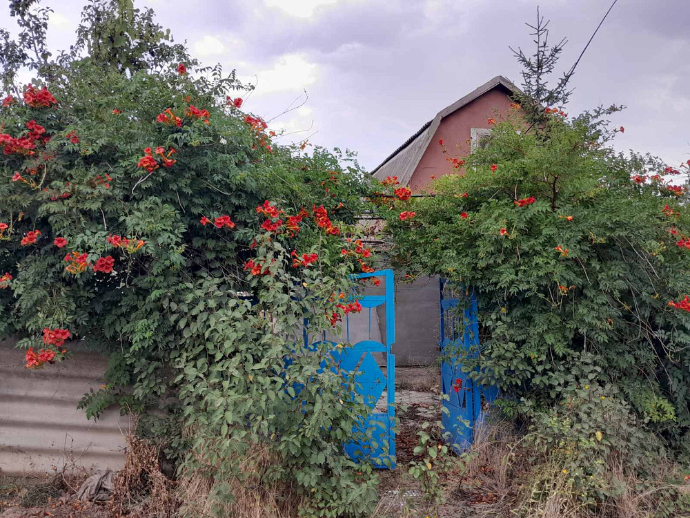 СРОЧНО!!! Продам дом зимнего типа на берегу лимана (Новодофиновские дачи) Нова Дофінівка - фото 11